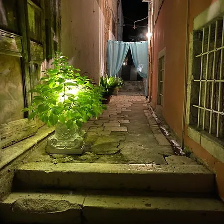 Secret Garden 게스트하우스